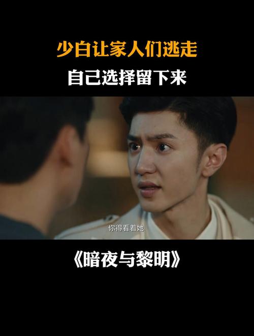 2023暗夜与黎明电视剧免费看;暗夜免费观看完整版高清