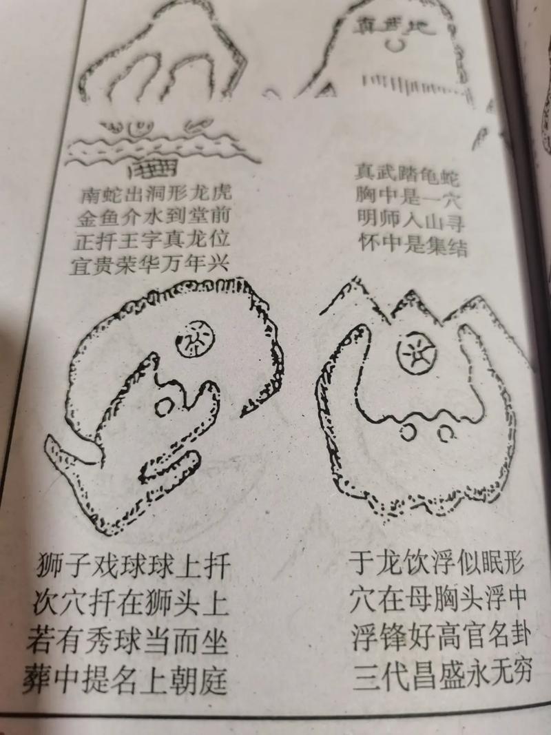 买蛇龙虎三折叠春联;三蛇龙虎会