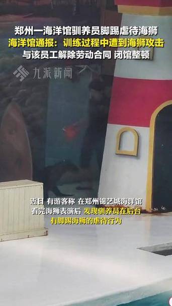 澳采全年资料大全:海洋馆员工脚踢海狮