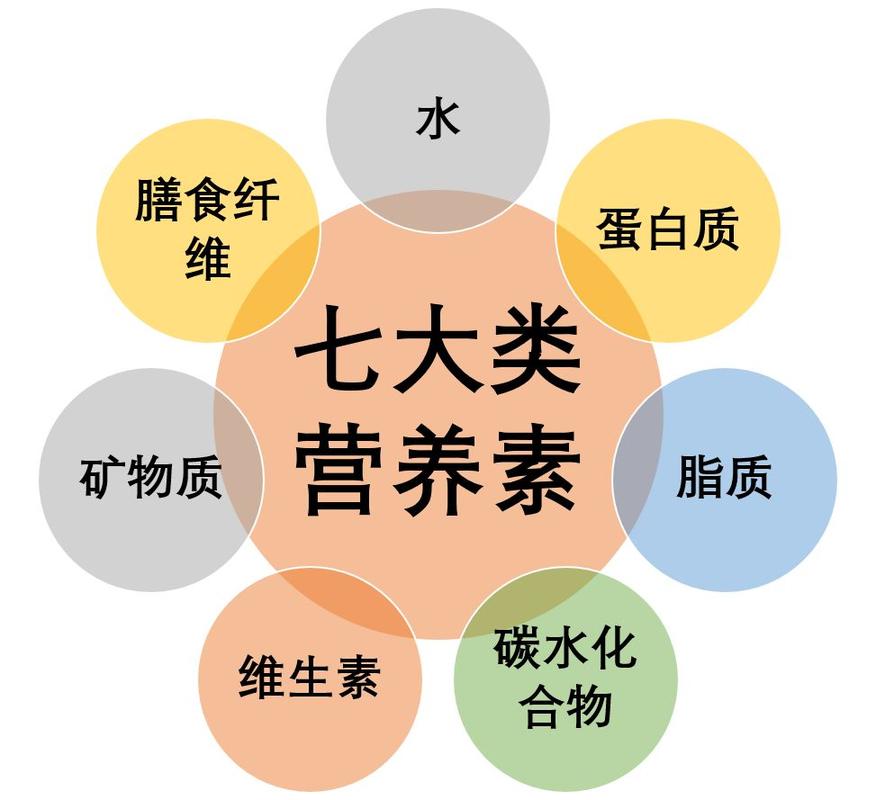 全网最准澳彩资料大全:吃得胖是营养不良吗