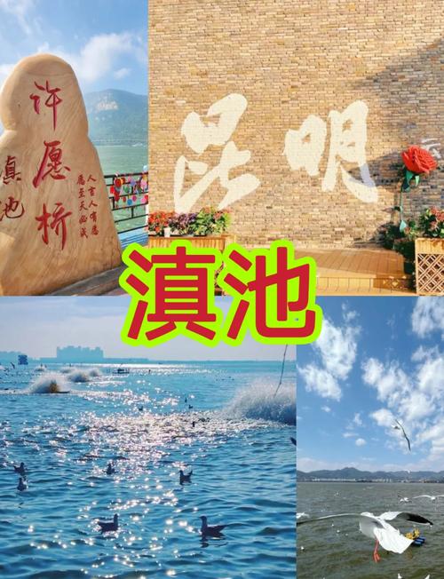 澳门49图库和云南滇池现鱼跳龙门与滇池跳水