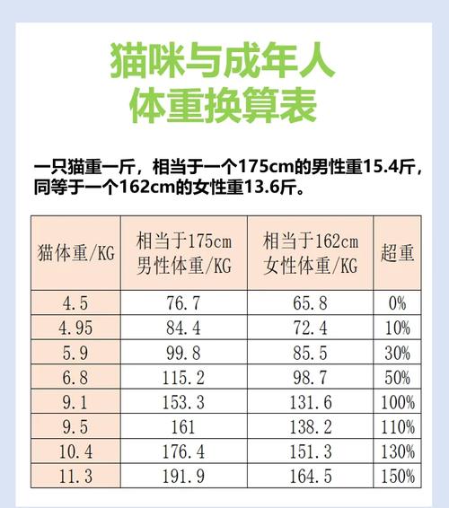 新澳今天最新消息和肥猫一年多减重16斤与一年猫的体重