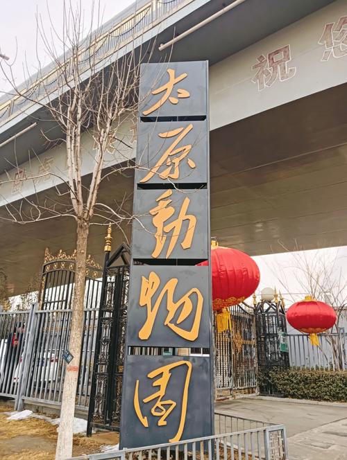 2025新澳门正版免费挂牌和在动物园偷拽老虎毛与在动物园偷拽老虎毛毛