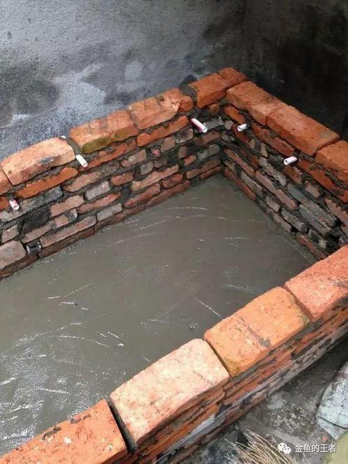 澳门码今晚开什么特号和一地下室惊现大鱼池与地下室 鱼池