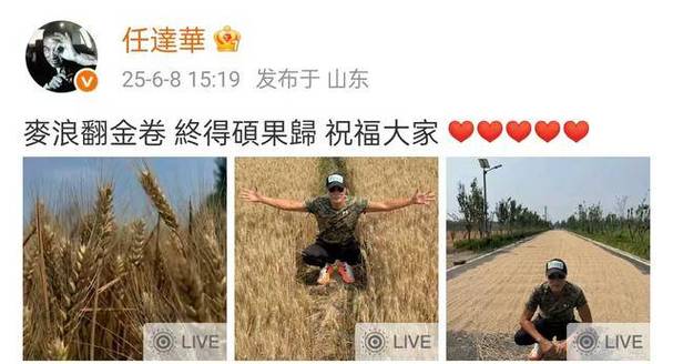 新澳天天开奖资料大全600TK和任达华回山东收麦子与任达华回山东收麦子是哪一集